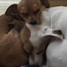 Sparky and Maizie