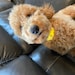 Vincent