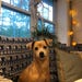 Cooper
