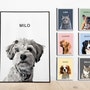 shop-member-photo