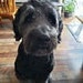 Finnegan