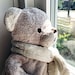 the Bear