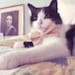 Bandit the Cat