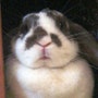 shop-member-photo