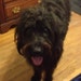 Aggie The Doodle GIrl