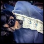 shop-member-photo