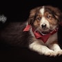 shop-member-photo