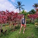 ASIANBatikDesigns