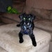 Spanky