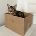 Houdini