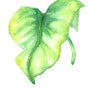 shop-member-photo
