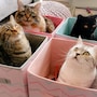 shop-member-photo