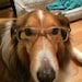 Dewey Walkmore