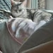 Eleanor