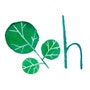 shop-member-photo