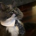 Berlioz