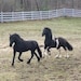 Taatje and Hailey