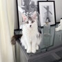 shop-member-photo