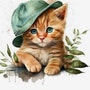 shop-member-photo