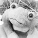 Smoochy The Frog