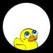 Sir What the Duck