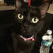 Pepper