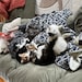 Cuddle Cats