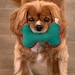 Barkley