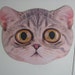 Junee Moon Vintage