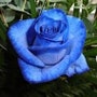 shop-member-photo