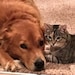 Sadie & Tater