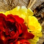 shop-member-photo