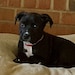 Xena