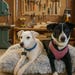 Maggie and Maya