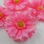 shop-member-photo