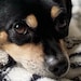 Lucy