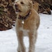 Remy