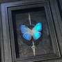 shop-member-photo