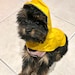 Mochi