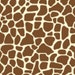 Safari Shoppe