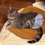 shop-member-photo