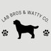 LabBrosnWattyCo