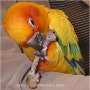 shop-member-photo