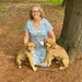 My Puppies