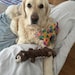 Murphy