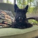 Bramble