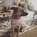 Zoe