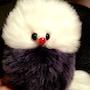 shop-member-photo