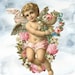 Cherub .ᐟ 