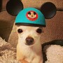 shop-member-photo
